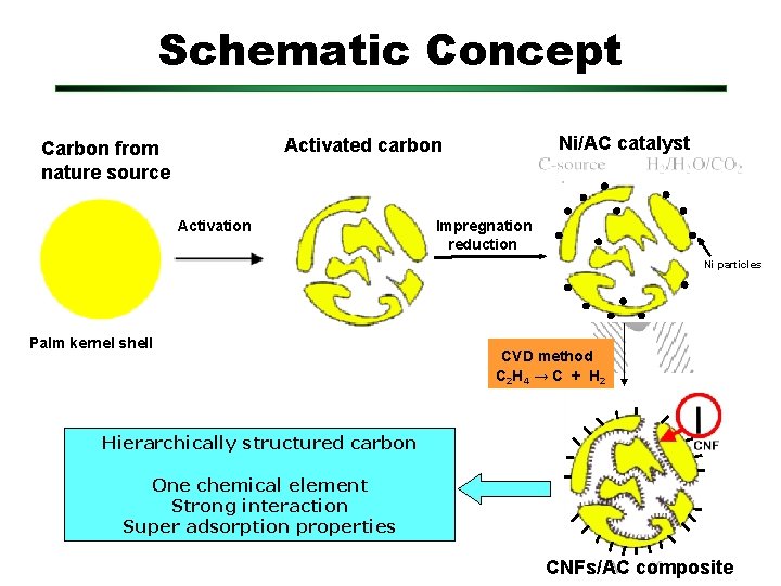 Schematic Concept Ni/AC catalyst Activated carbon Carbon from nature source Activation Impregnation reduction Ni