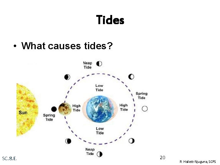 Tides • What causes tides? • Think about: Why do opposite sides of the