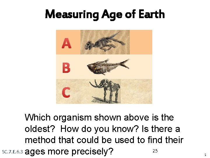 Measuring Age of Earth A B C Which organism shown above is the oldest?