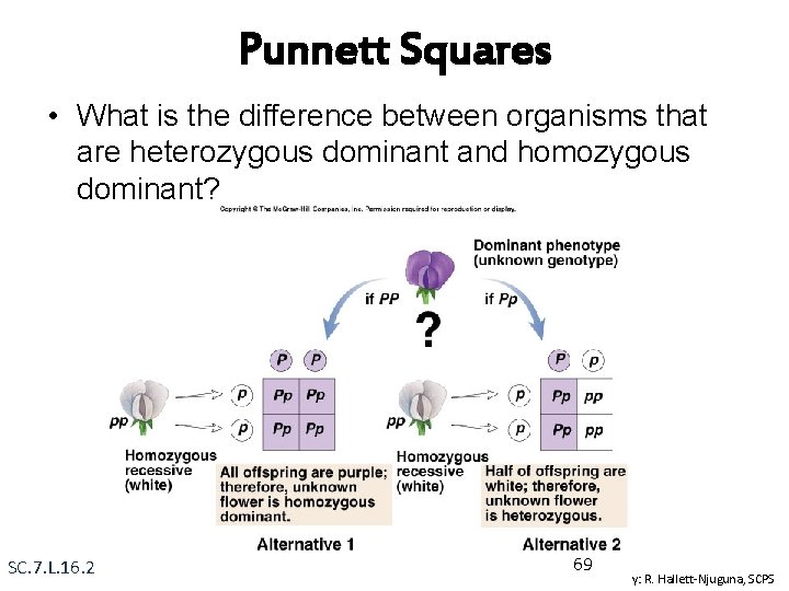 Punnett Squares • What is the difference between organisms that are heterozygous dominant and