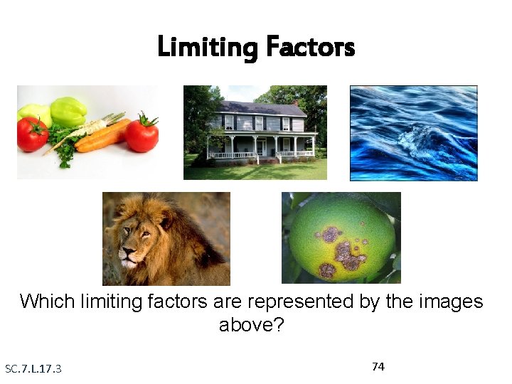 Limiting Factors Which limiting factors are represented by the images above? SC. 7. L.