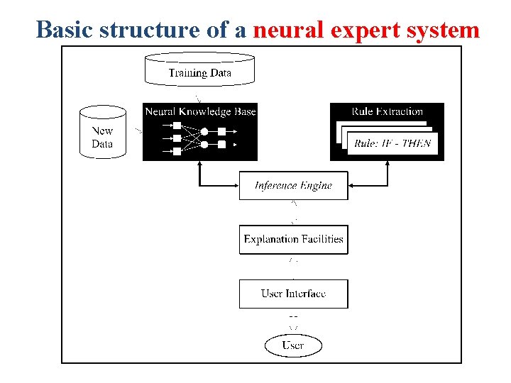 Basic structure of a neural expert system 