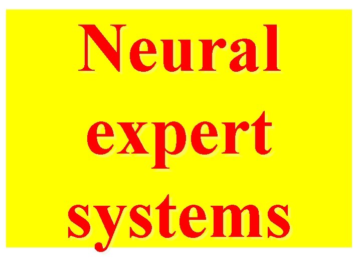 Neural expert systems 