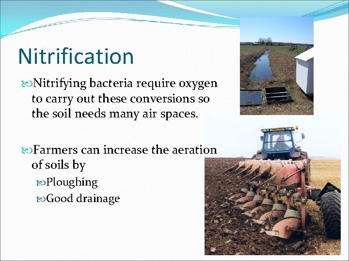 Nitrification Nitrifying bacteria require oxygen to carry out these conversions so the soil needs