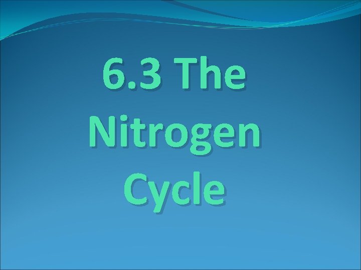 6. 3 The Nitrogen Cycle 