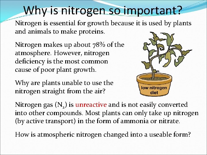 Why is nitrogen so important? Nitrogen is essential for growth because it is used