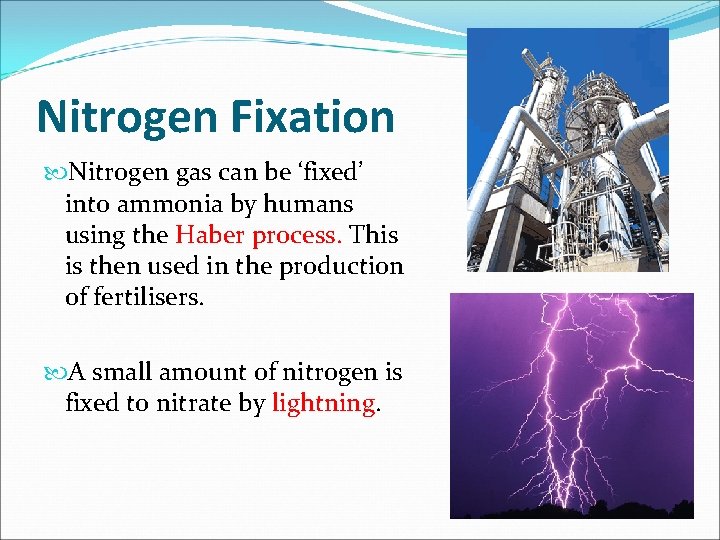 Nitrogen Fixation Nitrogen gas can be ‘fixed’ into ammonia by humans using the Haber