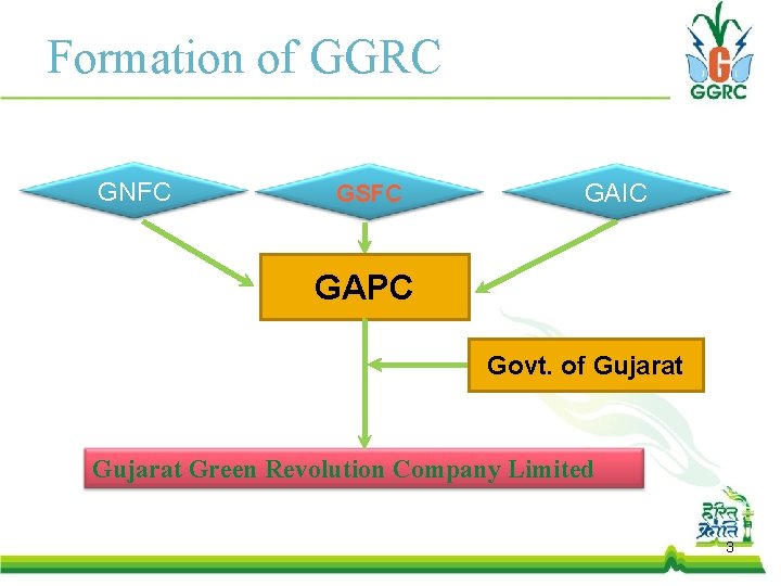 Formation of GGRC GNFC GSFC GAIC GAPC Govt. of Gujarat Green Revolution Company Limited