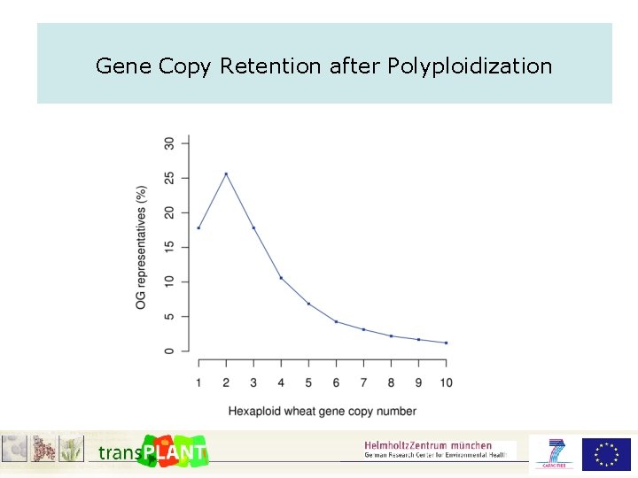 Gene Copy Retention after Polyploidization 