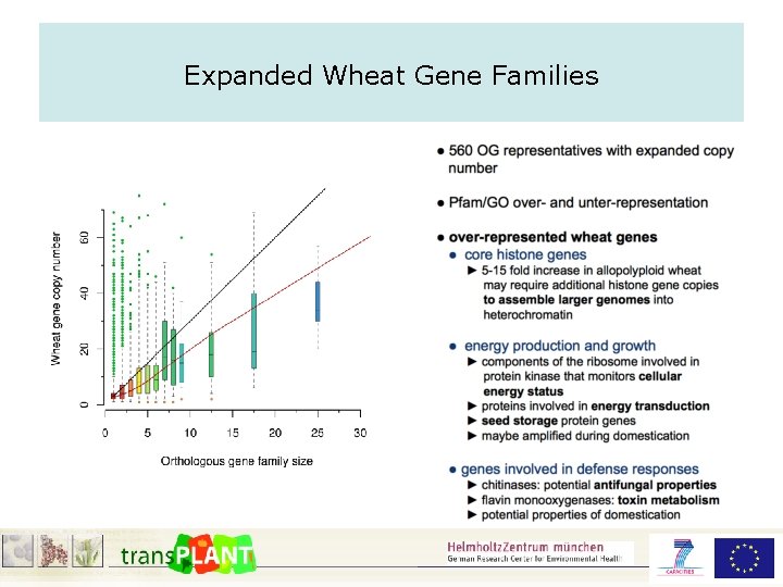 Expanded Wheat Gene Families 