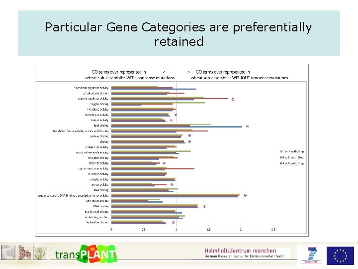 Particular Gene Categories are preferentially retained 