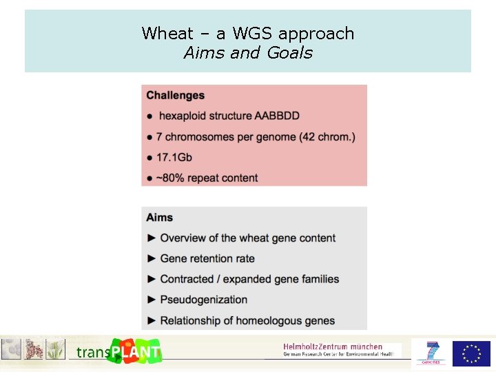 Wheat – a WGS approach Aims and Goals 