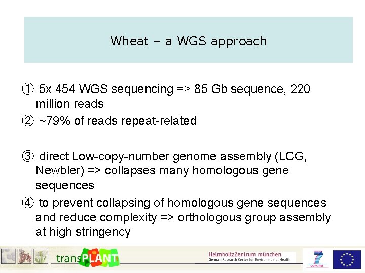 Wheat – a WGS approach ① 5 x 454 WGS sequencing => 85 Gb