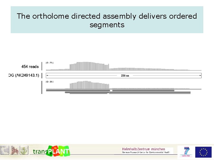 The ortholome directed assembly delivers ordered segments 