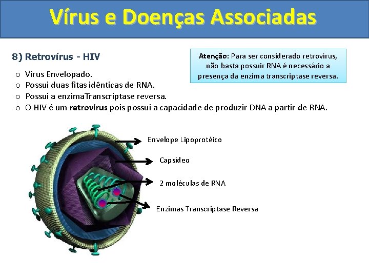 Vírus e Doenças Associadas Atenção: Para ser considerado retrovírus, não basta possuir RNA é