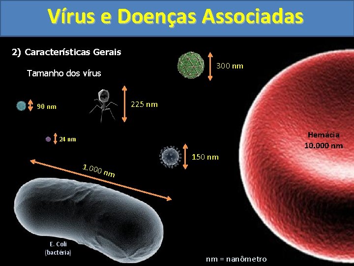 Vírus e Doenças Associadas 2) Características Gerais 300 nm Tamanho dos vírus 225 nm