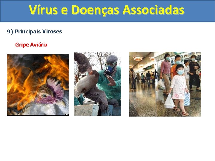 Vírus e Doenças Associadas 9) Principais Viroses Gripe Aviária 