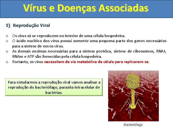 Vírus e Doenças Associadas 5) Reprodução Viral o Os vírus só se reproduzem no