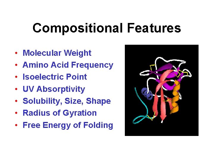 Compositional Features • • Molecular Weight Amino Acid Frequency Isoelectric Point UV Absorptivity Solubility,