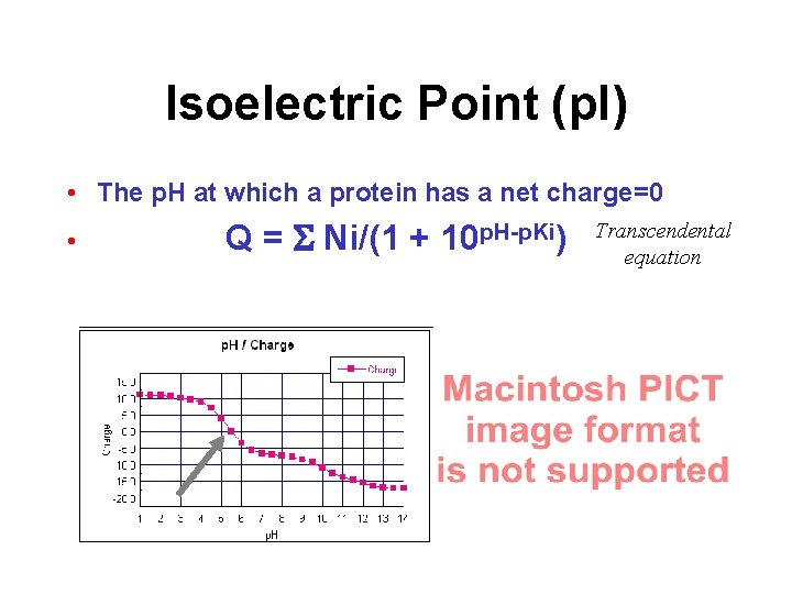 Isoelectric Point (p. I) • The p. H at which a protein has a