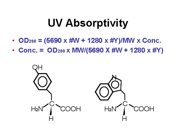 UV Absorptivity • OD 280 = (5690 x #W + 1280 x #Y)/MW x