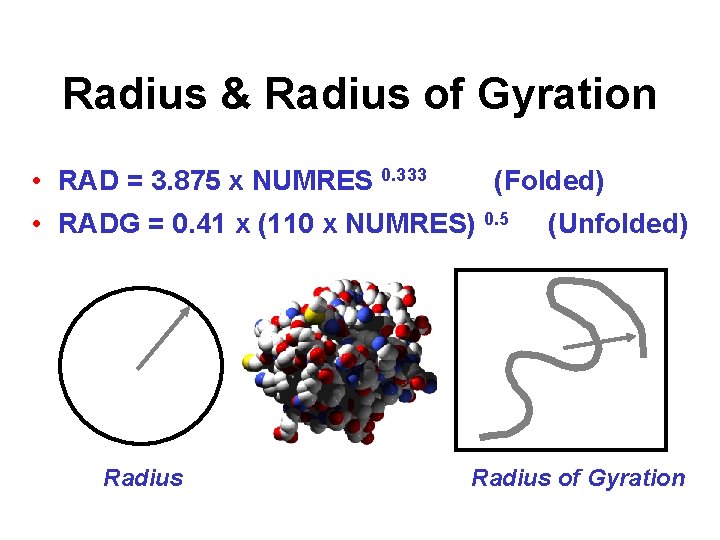 Radius & Radius of Gyration • RAD = 3. 875 x NUMRES 0. 333