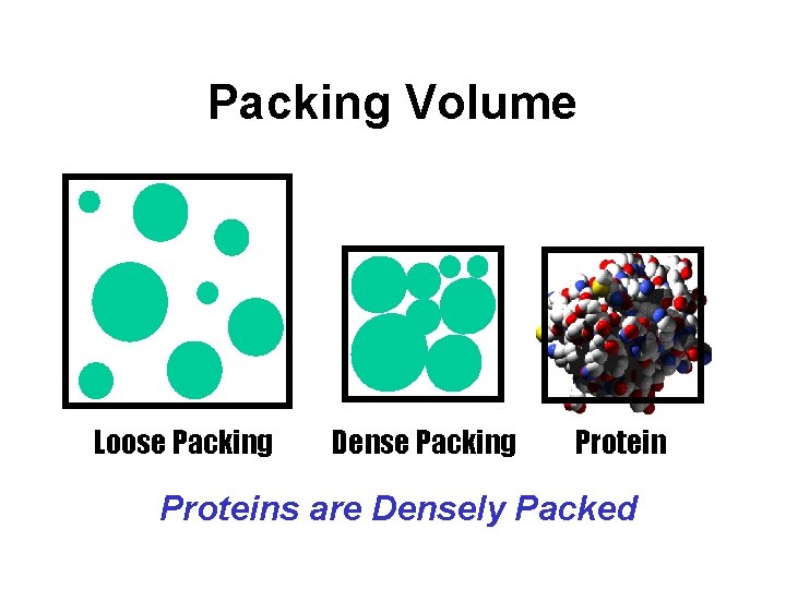 Packing Volume Loose Packing Dense Packing Proteins are Densely Packed 