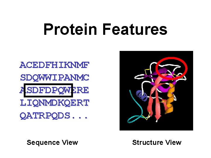 Protein Features ACEDFHIKNMF SDQWWIPANMC ASDFDPQWERE LIQNMDKQERT QATRPQDS. . . Sequence View Structure View 
