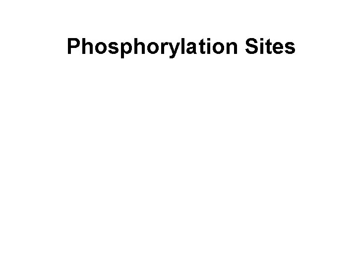 Phosphorylation Sites 