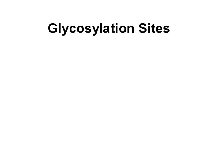 Glycosylation Sites 