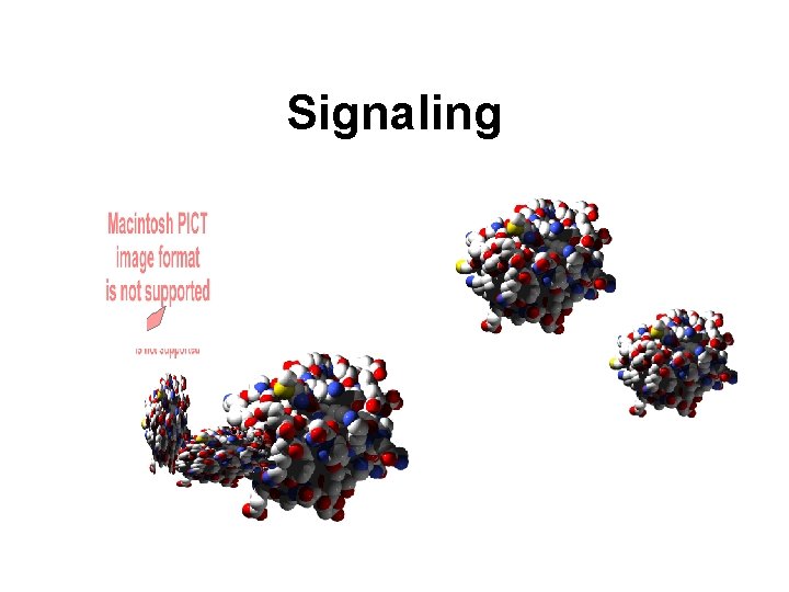 Signaling 