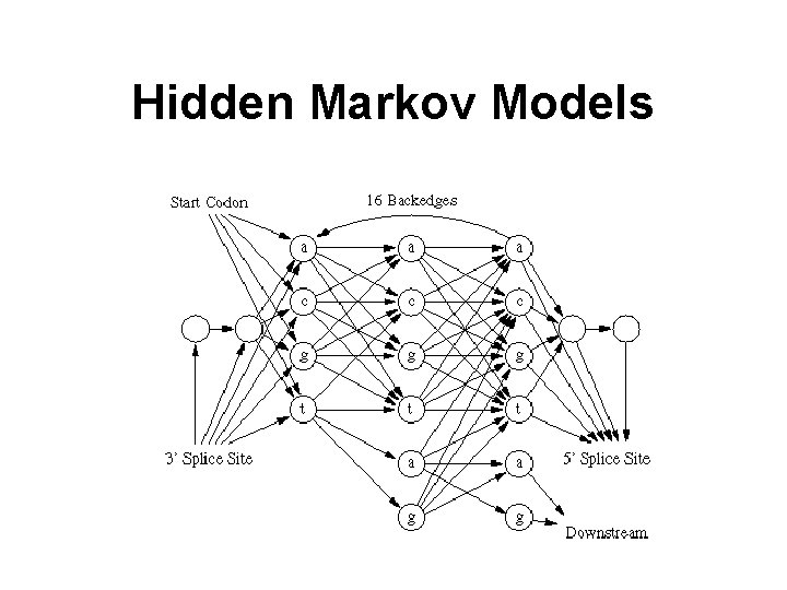 Hidden Markov Models 
