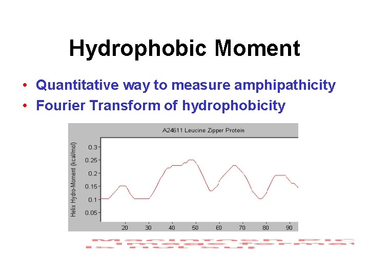 Hydrophobic Moment • Quantitative way to measure amphipathicity • Fourier Transform of hydrophobicity 