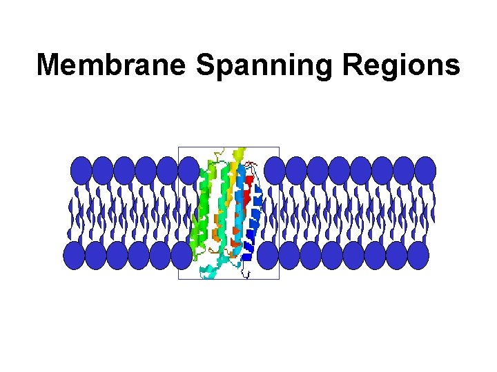 Membrane Spanning Regions 