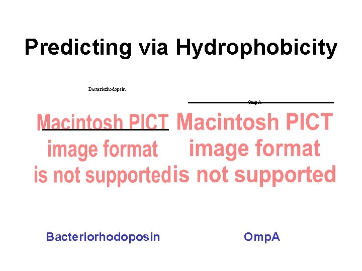 Predicting via Hydrophobicity Bacteriorhodopsin Omp. A Bacteriorhodoposin Omp. A 