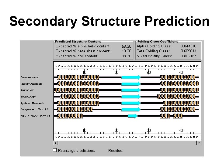 Secondary Structure Prediction 