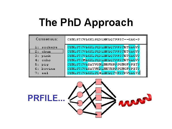 The Ph. D Approach PRFILE. . . 