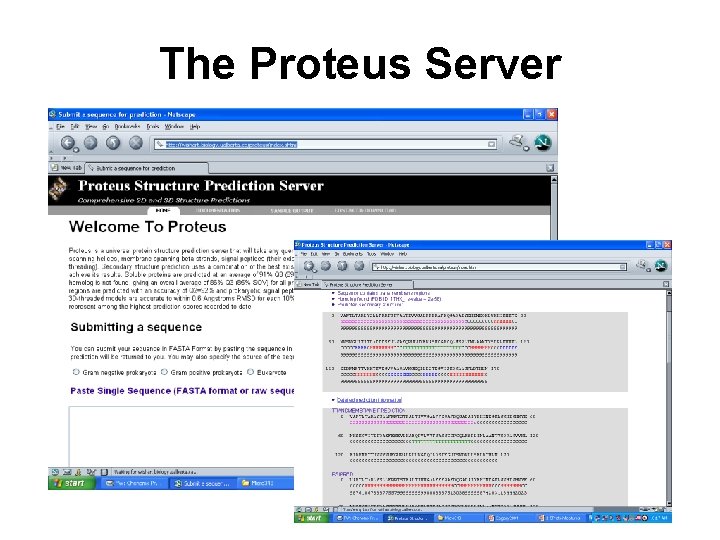 The Proteus Server 