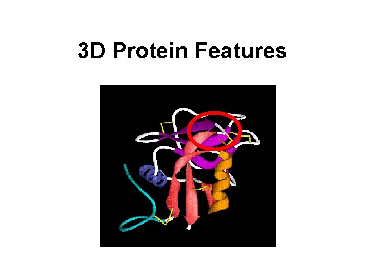 3 D Protein Features 