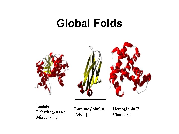 Global Folds Lactate Dehydrogenase: Mixed a / b Immunoglobulin Fold: b Hemoglobin B Chain: