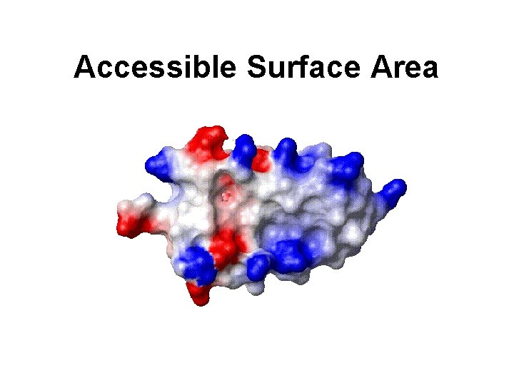 Accessible Surface Area 