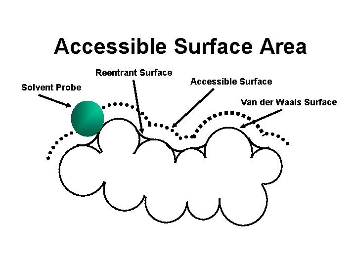 Accessible Surface Area Reentrant Surface Solvent Probe Accessible Surface Van der Waals Surface 