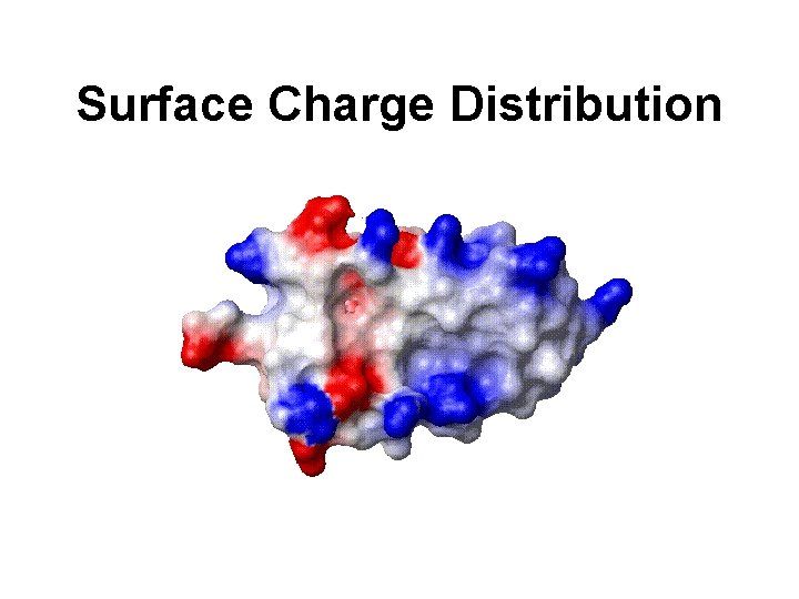 Surface Charge Distribution 