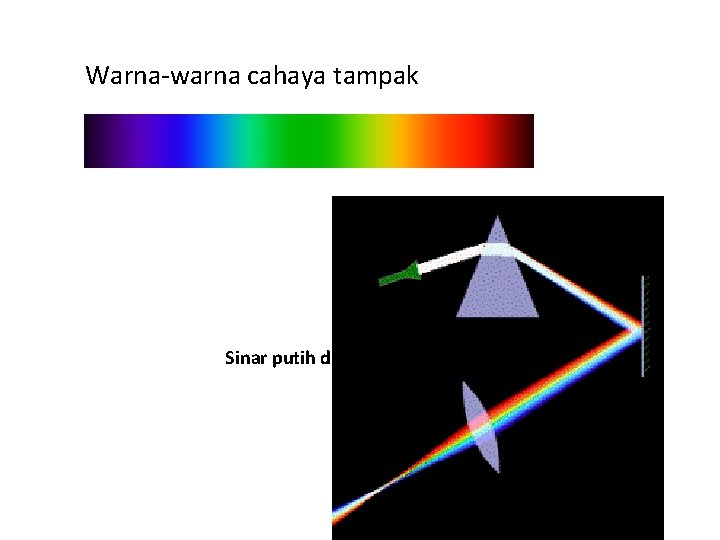 Warna-warna cahaya tampak Sinar putih dilewatpan pada prisma 