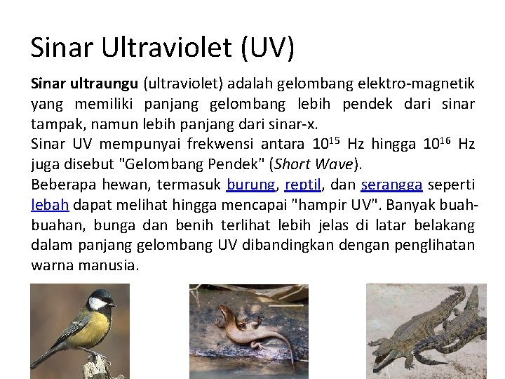 Sinar Ultraviolet (UV) Sinar ultraungu (ultraviolet) adalah gelombang elektro-magnetik yang memiliki panjang gelombang lebih