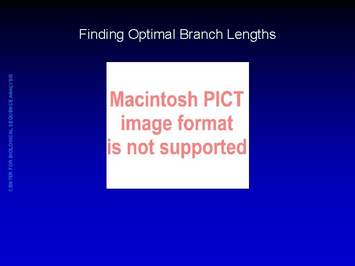 CENTER FOR BIOLOGICAL SEQUENCE ANALYSIS Finding Optimal Branch Lengths 