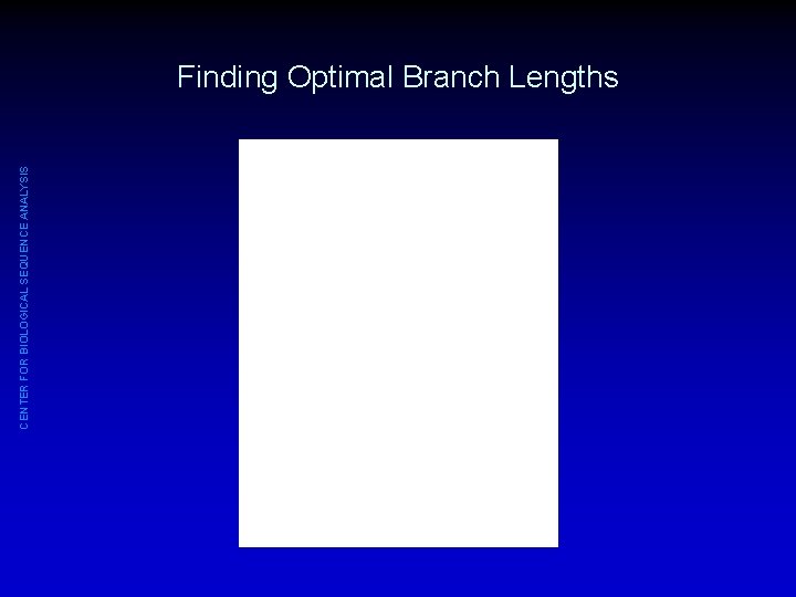 CENTER FOR BIOLOGICAL SEQUENCE ANALYSIS Finding Optimal Branch Lengths 