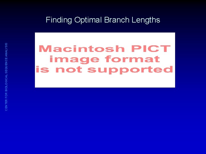 CENTER FOR BIOLOGICAL SEQUENCE ANALYSIS Finding Optimal Branch Lengths 