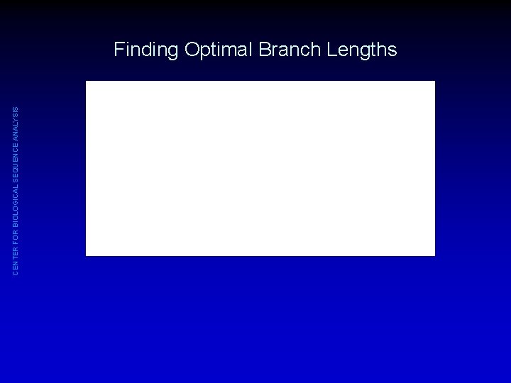 CENTER FOR BIOLOGICAL SEQUENCE ANALYSIS Finding Optimal Branch Lengths 