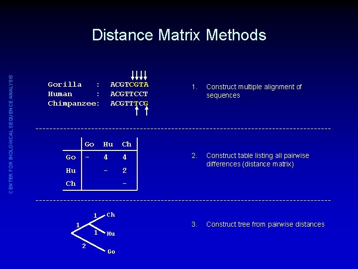 CENTER FOR BIOLOGICAL SEQUENCE ANALYSIS Distance Matrix Methods Gorilla : Human : Chimpanzee: Go